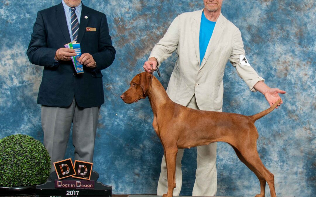 Charlee Girl gets her CDN Championship