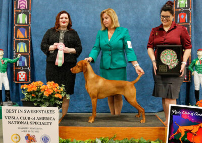 Izzy: Best in Sweeps, VCA Nationals, Regional Specialty