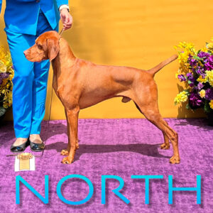 North wins AOM at Westminster