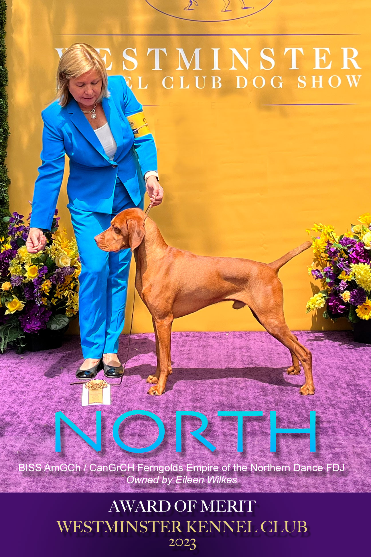 North wins Award of Merit at Westminster Kennel Club Dog Show, May 2023