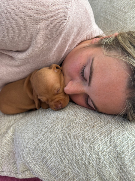 Erin with Vizsla puppy